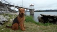 /album/fotogaleria/p1100493-jpg/