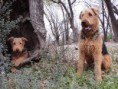 /album/fotogaleria/a11123595-1615847208695983-4339465828207532473-o-jpg/