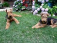 /album/fotogaleria/a1979281-1522938967986808-4617774204662460032-o-jpg/