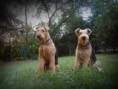 /album/fotogaleria/a10835288-1591266267820744-5055348106570408981-o-jpg/